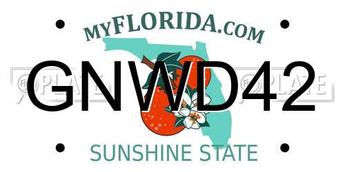 GNWD42 Florida License Plate