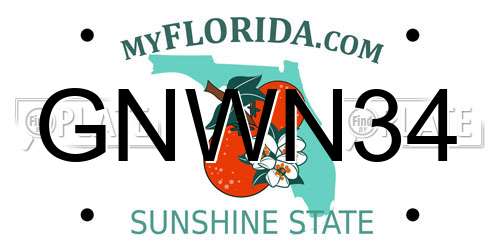 GNWN34 Florida License Plate