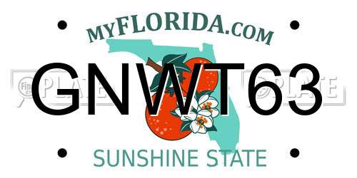GNWT63 Florida License Plate