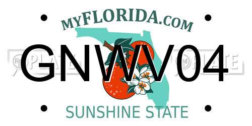 GNWV04 Florida License Plate