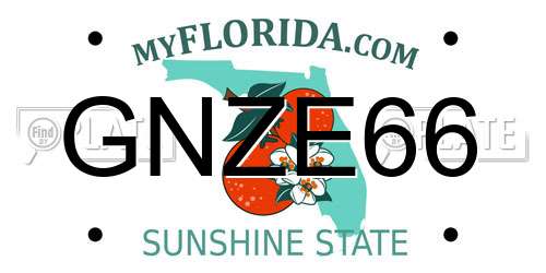 GNZE66 Florida License Plate