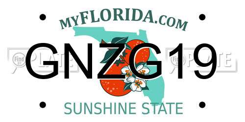 GNZG19 Florida License Plate