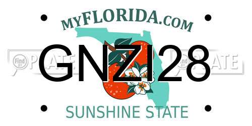 GNZI28 Florida License Plate