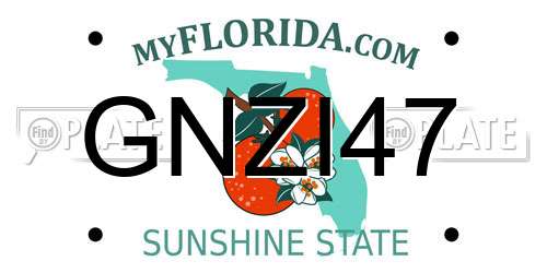 GNZI47 Florida License Plate