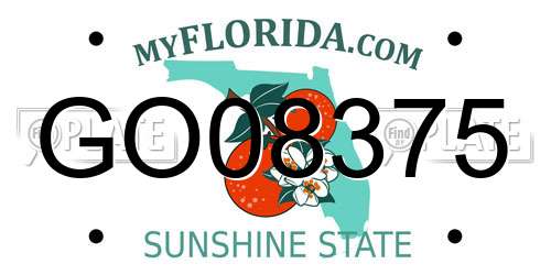 GO08375 Florida License Plate