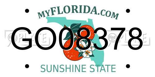 GO08378 Florida License Plate