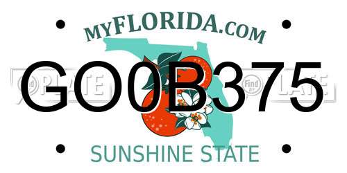 GO0B375 Florida License Plate
