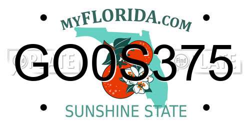 GO0S375 Florida License Plate