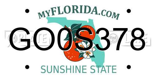 GO0S378 Florida License Plate