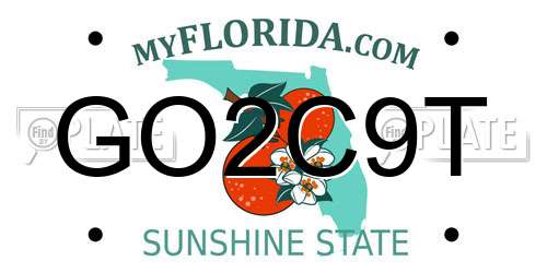 GO2C9T Florida License Plate