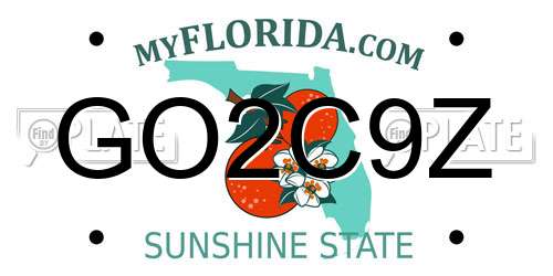 GO2C9Z Florida License Plate