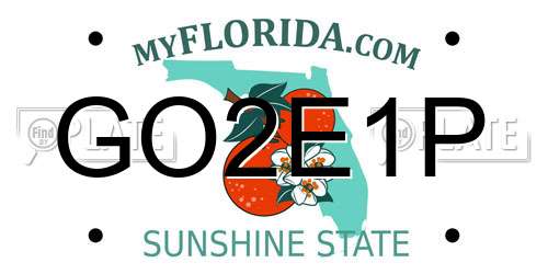 GO2E1P Florida License Plate