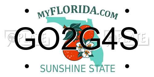 GO2G4S Florida License Plate