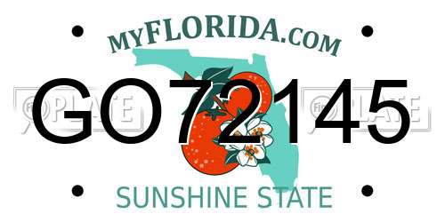 GO72145 Florida License Plate