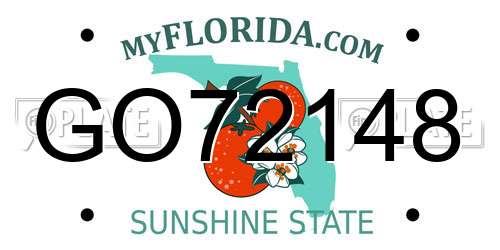 GO72148 Florida License Plate