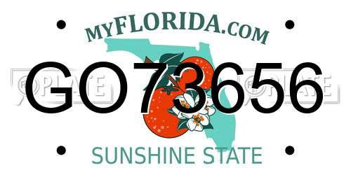 GO73656 Florida License Plate