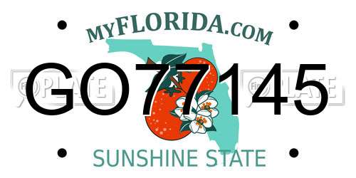 GO77145 Florida License Plate