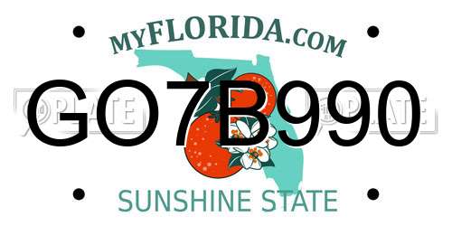 GO7B990 Florida License Plate