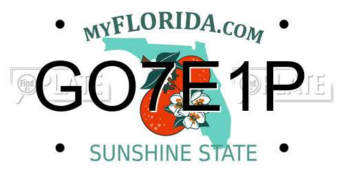 GO7E1P Florida License Plate