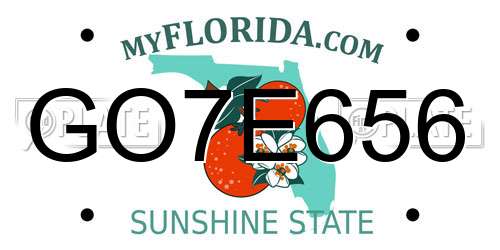 GO7E656 Florida License Plate