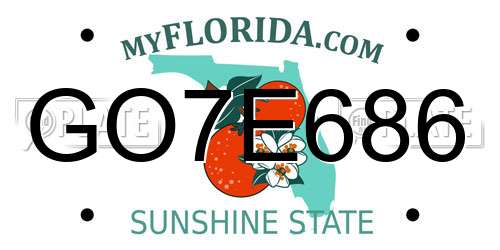 GO7E686 Florida License Plate
