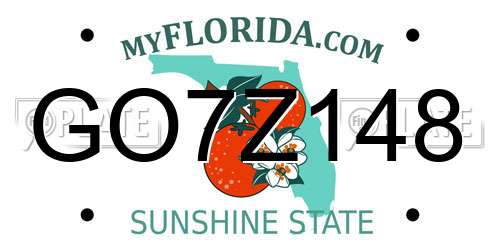 GO7Z148 Florida License Plate