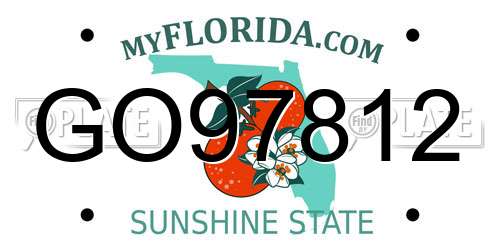 GO97812 Florida License Plate