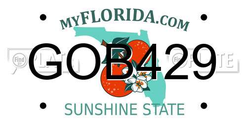 GOB429 Florida License Plate