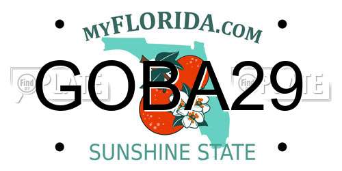 GOBA29 Florida License Plate