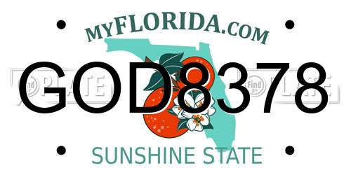GOD8378 Florida License Plate