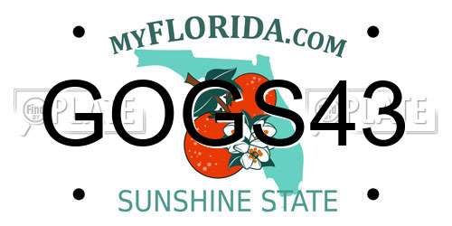 GOGS43 Florida License Plate