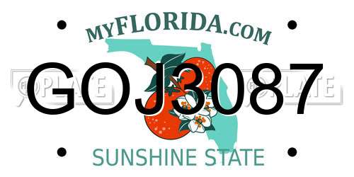 GOJ3087 Florida License Plate