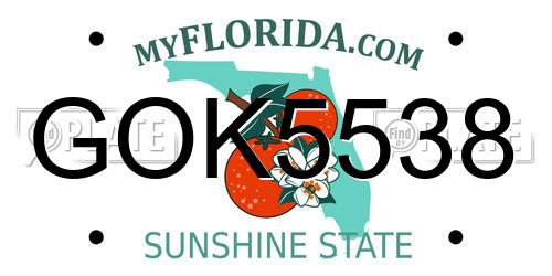GOK5538 Florida License Plate