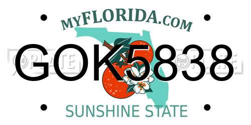 GOK5838 Florida License Plate