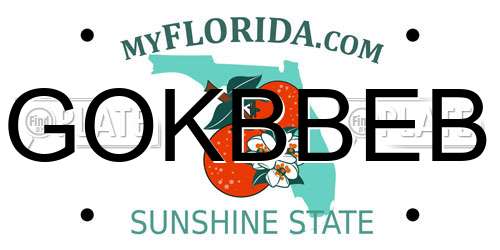GOKBBEB Florida License Plate