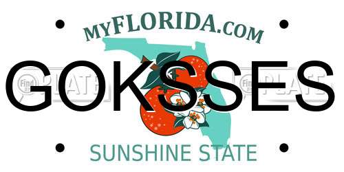 GOKSSES Florida License Plate