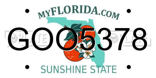 GOO5378 Florida License Plate