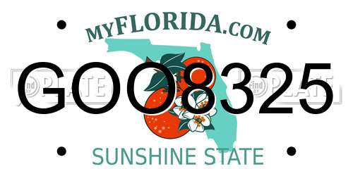 GOO8325 Florida License Plate
