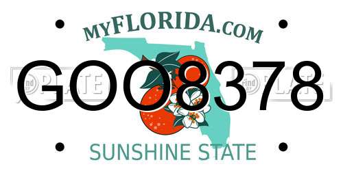GOO8378 Florida License Plate