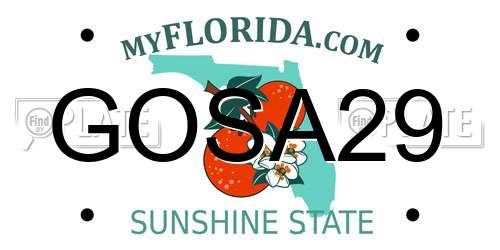 GOSA29 Florida License Plate