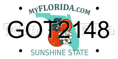 GOT2148 Florida License Plate