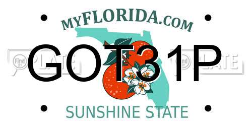 GOT31P Florida License Plate