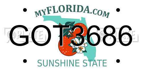 GOT3686 Florida License Plate