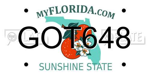 GOT648 Florida License Plate