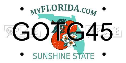GOTG45 Florida License Plate