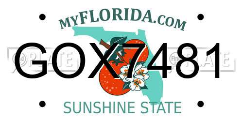 GOX7481 Florida License Plate
