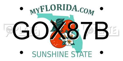 GOX87B Florida License Plate