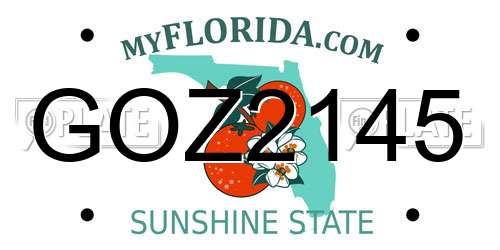 GOZ2145 Florida License Plate