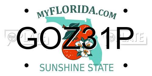 GOZ31P Florida License Plate