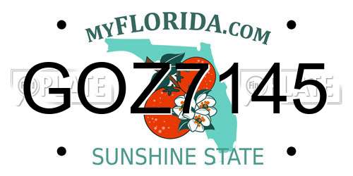 GOZ7145 Florida License Plate